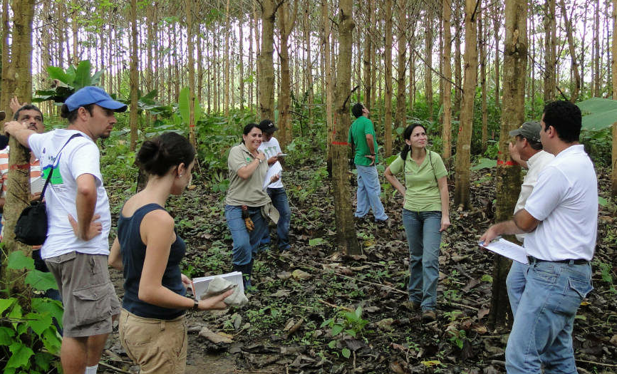 Plan de Gestión Ambiental FEUNA